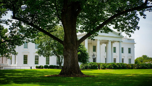 Donald Trump Presidency: Year One Status Report (January 2026)