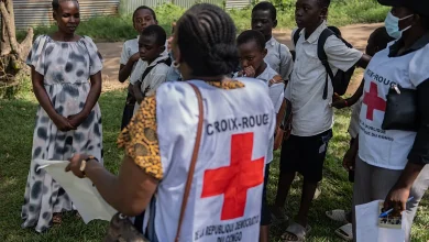 Ebola outbreak response: US Warns Europe of Consequences