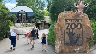Nashville Zoo Fights Proposed Adjacent Data Center