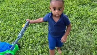 Wiley