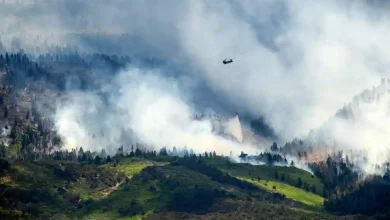 Wildfire