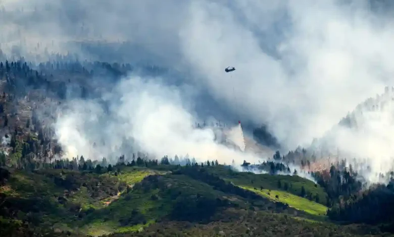 Wildfire
