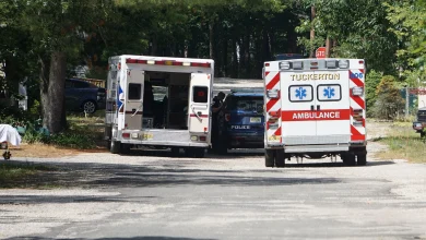 ICE agent struck by van