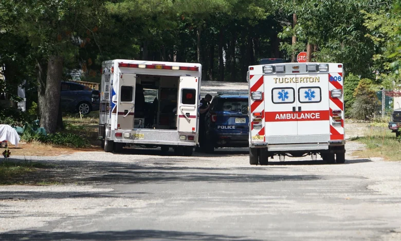 ICE agent struck by van