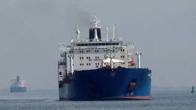 Oil