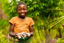 Government Policies: The Shocking Rise of Child Hunger in America 2026