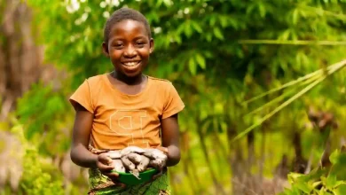 Government Policies: The Shocking Rise of Child Hunger in America 2026