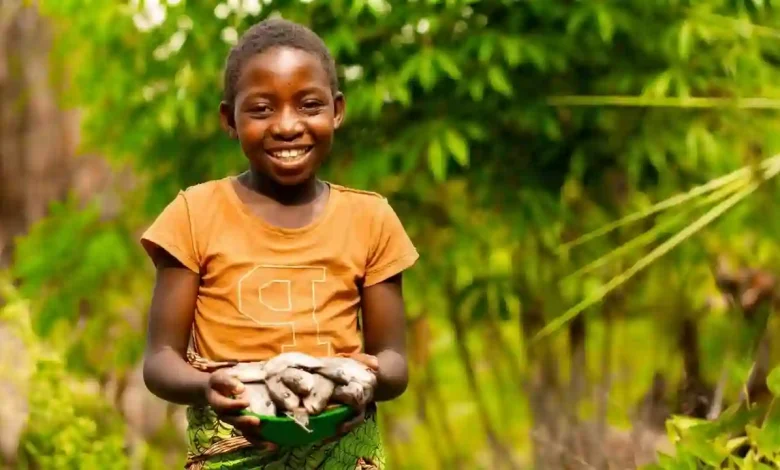 Government Policies: The Shocking Rise of Child Hunger in America 2026