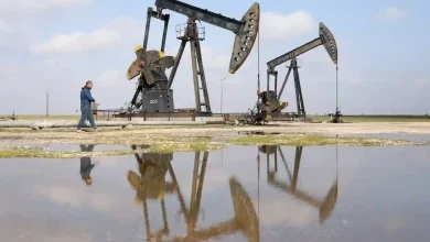 Oil