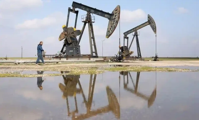 Oil