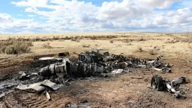 Nelons plane