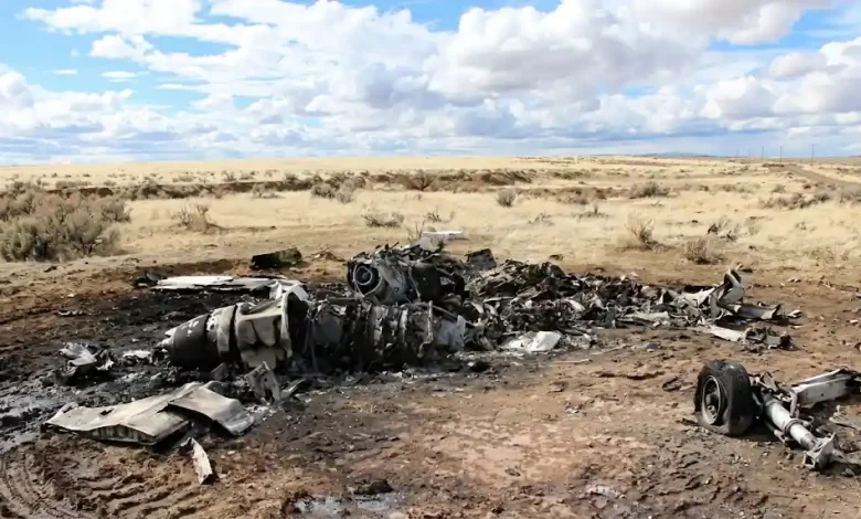 Nelons plane