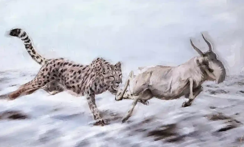 Cheetah