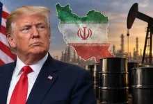 Oil
