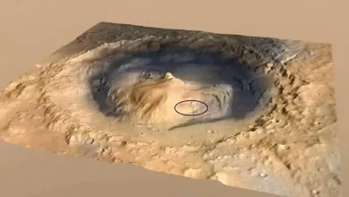 Curiosity