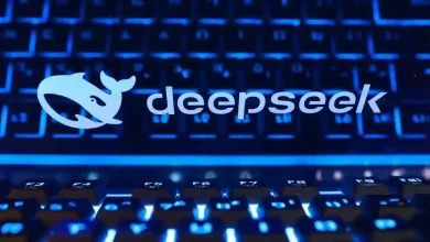DeepSeek